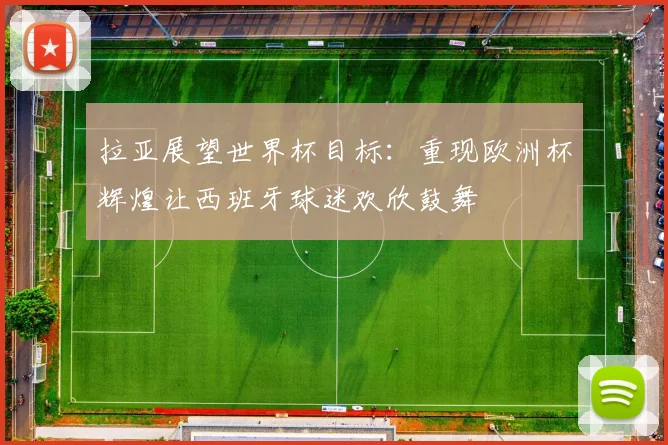 拉亚展望世界杯目标：重现欧洲杯辉煌让西班牙球迷欢欣鼓舞